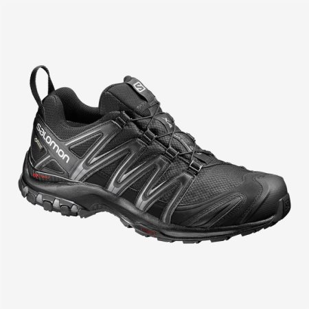 Salomon XA PRO 3D GTX Erkek Koşu Ayakkabısı Siyah TR V2S2
